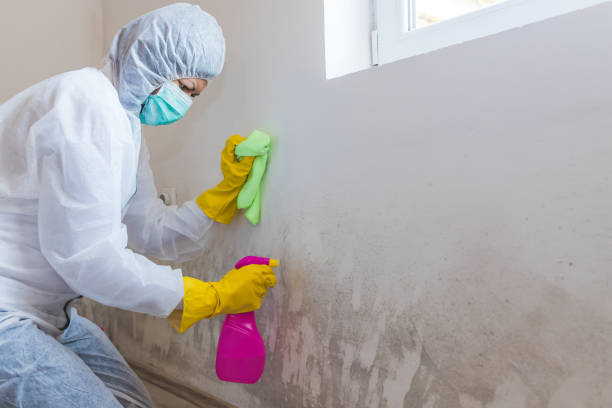 Governors Clu, NC Mold Removal & Remediation Company